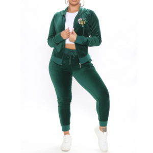 Velvet Tracksuits for Women Casual Two Piece Sets Long Sleeve Jacket and Pants Set 2 Pcs Sets Womens Velour Tracksuit - Product Image 1