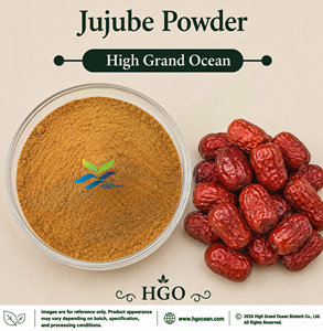 Approvisionnement direct d'usine HGO de poudre de jujube pure et naturelle (qualité alimentaire) – Poudre de fruit séchée par pulvérisation ou lyophilisée - Product Image 1