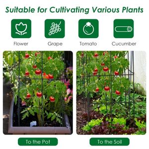 Lot de 4 treillis de jardin pour plantes grimpantes, pour clôtures et portails de fleurs et de légumes - Product Image 5
