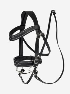 Bridon pour cheval d'équitation ANNABELLE avec rembourrage coloré personnalisable et cuir de qualité supérieure, fabriqué sur mesure - Product Image 3