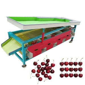 Clasificador de Tomates <span class=keywords><strong>Cherry</strong></span> y Arándanos por Tamaño - Máquina Clasificadora de Frutas Tipo Cinta Transportadora - Product Image 4