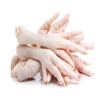 Pattes de poulet congelées / Ailes de poulet, quartiers de cuisses de poulet et pieds de poulet de chair congelés