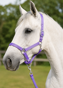 Harnais pour cheval en nylon violet avec boucles métalliques et mousqueton - Product Image 4