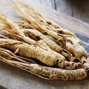 Premium Ngoc Linh Ginseng from Vietnam | High Saponin Content | OEM & Private Label Available - Product Image 1