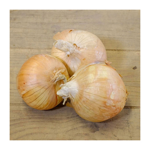 Cebolla amarilla fresca de alta calidad para compras al por mayor, suministro minorista y procesamiento de alimentos - Product Image 6