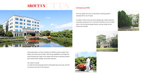 WEI WEI PREMIUM DYNASTY BEEF TENDON NOODLE (SAC) nourriture chinoise - Product Image 6