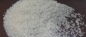 El mejor arroz vietnamita blanco orgánico de grano largo similar al nuevo cultivo Basmati de VILACONIC Mr Kelvin + 84 924 736 232 - Product Image 6