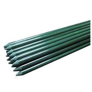 Garden Stakes 48 Inch Solid Glass Fiber Plant Support <b>Rod</b> - Product Image 4