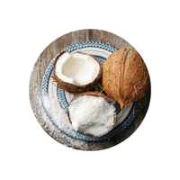 Vietnam Desiccated Coconut Fine Medium Flakes Bulk Supplier Food Grade Desiccated Coconut High Fat Fine Grade Cheap 2026