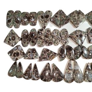 Agate de Turritella naturelle fossile en vrac pour boucles d'oreilles - Mélange de formes semi-précieuses 10-25mm 3-5g Apprécié par un tiers Khushi - Product Image 4