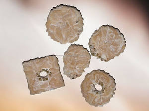 Posavasos de resina de color crema de la mejor calidad con bordes dorados, precio al por mayor, artesanías de resina - Product Image 2