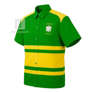 Chemise boutonnée personnalisée Chi Eta Phi avec logo brodé sur le devant, rayée jaune et verte, pour vêtements grecs féminins. - Product Image 2