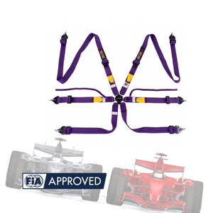 Competition Safety Belt TBRACING FIA Approved 8853 2016 OEM ODM Brand Agent Wholesale Factory Direct Racing Supply - Product Image 2