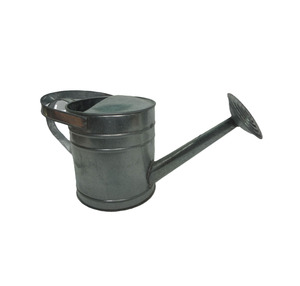 Arrosoir en métal rustique pour la décoration du jardin et l'arrosage des plantes et des fleurs - Product Image 2