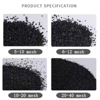 Granulés de charbon actif de coque de noix de coco haute pureté 99,999 % - Adsorbant pour le traitement des textiles et de l'eau, origine Inde