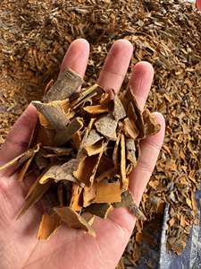 Dried Cassia <b>Cinnamon</b> Pieces Raw Whole Spice Premium Grade Single Herbs & Spices - Product Image 1