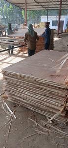 Contrachapado de Álamo de Alta Calidad para Aplicaciones Estructurales, Encofrados y Uso en Muebles - Product Image 4