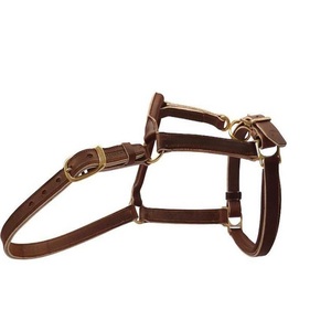 Harnais d'équitation en cuir fait main, style tendance, double réglage, robuste, pour chevaux - Product Image 6