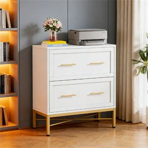 ตู้เก็บเอกสารสำนักงานแบบสองลิ้นชัก พร้อมที่วางเครื่องพิมพ์และอุปกรณ์เก็บรูปภาพ สำหรับใช้งานในสำนักงาน - Product Image 1