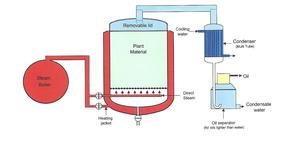 Aceites ALOURA, Extracto de Azafrán, Aceite Attar Natural y Orgánico, Destilado al Vapor, 100% Puro, Sin Alcohol, para Todo Tipo de Piel - Product Image 6