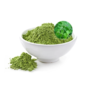 Poudre de feuilles de Moringa Oleifera 100% pure 227g Poudre de Moringa naturelle pour soutenir l'immunité et l'énergie Poudre de feuilles de Moringa de qualité alimentaire - Product Image 6