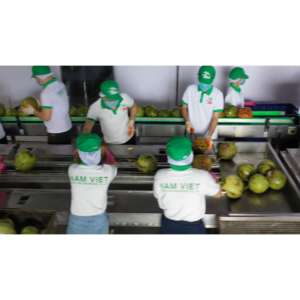 Bouteille en plastique VINUT 1L, eau de coco, kiwi, fournisseurs ODM, fabricants, jus véritable, certifié GMP, Vietnam, durée de conservation de 18 mois, Nam - Product Image 3