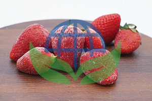 Fraises surgelées biologiques de fabrication indienne, qualité A, 100 kg, pour smoothies, jus et desserts, à prix compétitifs - Product Image 2