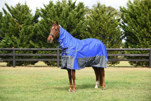 Invierno impermeable transpirable 900D Ripstop caballo Turnout alfombra correas de liberación rápida Anti-Rub cuello hombro diseño ligero Nylon - Product Image 2