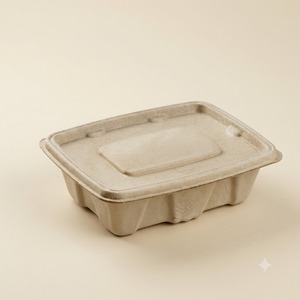 Conteneur alimentaire en bagasse naturelle 750 ml, compostable, étanche, compatible micro-ondes, boîte de livraison - Product Image 5