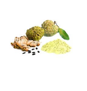 Extracto de custard apple (10:1) en polvo herbal estandarizado para apoyo natural de la salud, inmunidad, energía y bienestar general. - Product Image 1