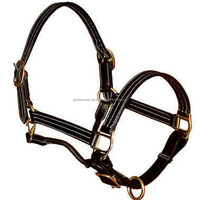Triple blanc cousu Double couche selle cuir robuste cheval licou et correspondant plomb corde antirouille raccords en laiton massif