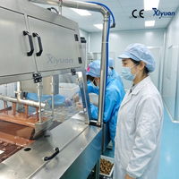 PLC-gestuurde machine voor het coaten van bevroren fruit met chocolade, dubbele coating voor donkere & witte chocolade voor aardbeien & bosbessen
