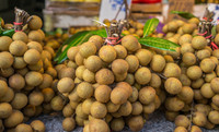 Mekong River Gedroogde Longan Natuurlijke Delicatesse Clean Label Snack