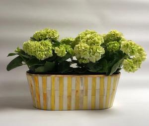 Jardinière en métal avec incrustation de os, faite à la main, de forme ronde, style minimaliste, pour la décoration de la maison, produit de luxe, exportations en gros - Product Image 6