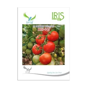 Iris IHS-045 Graines <span class=keywords><strong>de</strong></span> <span class=keywords><strong>tomates</strong></span> rouges brillantes <span class=keywords><strong>de</strong></span> forme oblate, variété tolérante au TYLCV, variété <span class=keywords><strong>de</strong></span> <span class=keywords><strong>tomates</strong></span> fraîches - Product Image 1