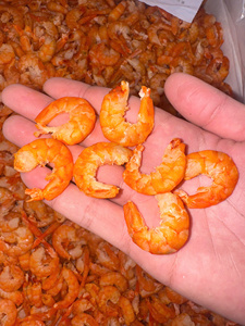 Crevettes séchées naturelles en gros du Vietnam – Ingrédient de haute qualité pour la cuisine asiatique et la production alimentaire - Product Image 6