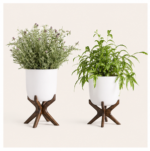 Modern Solid Wood Plant Stand Eco-Friendly Minimalist Indoor Flower <b>Pot</b> <b>Holder</b> Floor Standing Display for Home & Garden Decor - Product Image 1