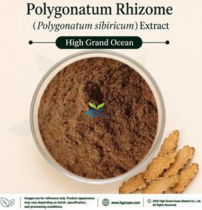 Extrait de rhizome de Polygonatum (Polygonatum sibiricum) fourni directement par l'usine HGO, rapport 4:1 5:1 10:1 20:1 100:1 200:1 (qualité alimentaire) - Product Image 1
