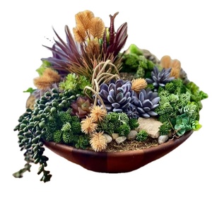 กระถางดอกไม้ไม้กลางแจ้งต้องการปลูกต้นไม้ในสวนหลังบ้านกระถางต้นไม้เปลือกเฟอร์ - Product Image 1