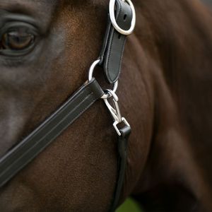 Diseño Premium de Última Generación, Halter de Cuero Inglés Decorativo para Montar a Caballo, Transpirable, Personalizado a Precio de Mayoreo - Product Image 3