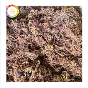 Alga Cottonii Seca Gourmet, Textura Natural, Materia Prima para Fabricantes de Alimentos, Distribución Mayorista, Mercados Globales - Product Image 1