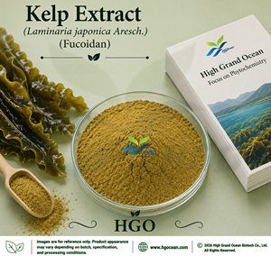 Suministro Directo de Fábrica HGO de Extracto Puro y Natural de Algas (Laminaria japonica Aresch.) Especificaciones de Grado Alimenticio 98% Fucoidan - Product Image 1
