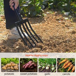 Forcone da Giardinaggio con Manico per Fieno e Patate, Attrezzi Essenziali per il Giardino - Product Image 4