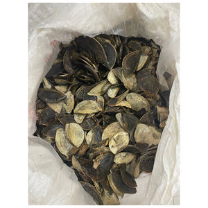 ฝาครอบเปลือกหอยสำหรับงาน DIY ตกแต่งบ้าน งานศิลปะติดผนัง กรอบกระจก และงานฝีมือสร้างสรรค์ - Product Image 6