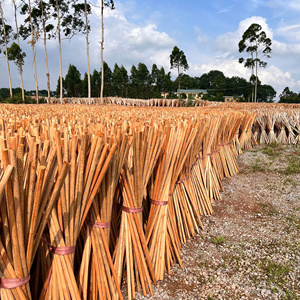 Escoba de madera ecológica Panda con mango de plástico duro duradero y cerdas sin bandera, cabezal de PVC, herramienta de limpieza de jardín de alta resistencia - Product Image 5