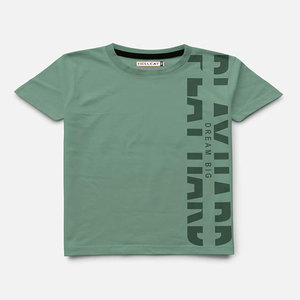 Camiseta personalizada de alta calidad con estampado Dtg, camiseta de talla grande, camisetas lisas de algodón al por mayor, fabricante de camisetas de gran tamaño Unisex - Product Image 2