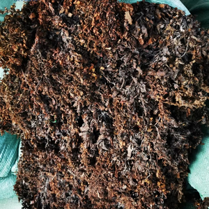 ALGA SARGASSUM SECA para ALIMENTACIÓN ANIMAL y FERTILIZANTE DE VIETNAM/ Sra. Lima - Product Image 1