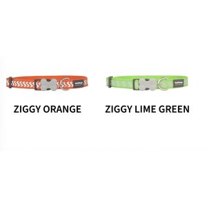ปลอกคอสุนัขแบบสะท้อนแสง RedDingo รุ่น Ziggy Bucklebone สีดำ (ขนาดใหญ่) - Product Image 3