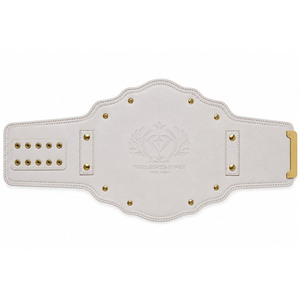 Cinturón de Campeonato de Boxeo Personalizado Champion 2026, Cinturón de Lucha Libre de Alta Calidad con Correas de Cuero Resistentes - Product Image 4