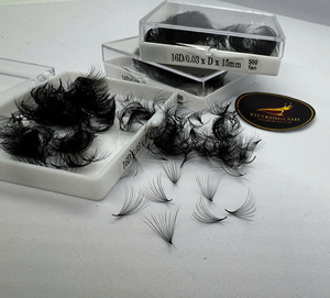 Extensions de cils synthétiques en gros du Vietnam, très populaires, 0.03 C 10D-20D, longues et naturelles, courbures CC/DD/M/L, préfabriquées, Mega High - Product Image 3